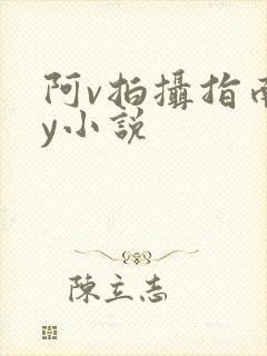 阿v拍摄指南by小说