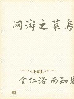 网游之菜鸟江湖