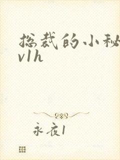 总裁的小秘书1v1h