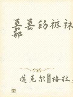 嘉嘉的裤袜第二部