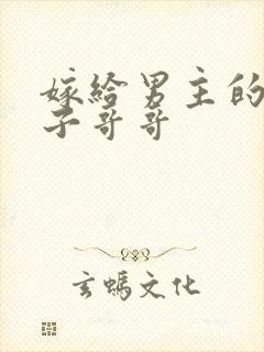 嫁给男主的病秧子哥哥