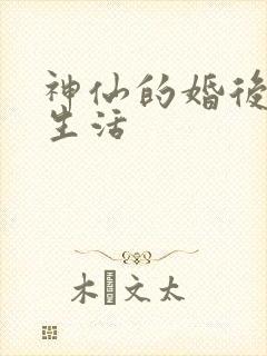 神仙的婚后都市生活