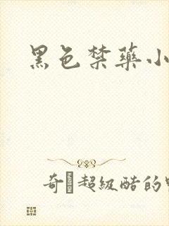 黑色禁药小说