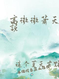 高微微萧天策小说