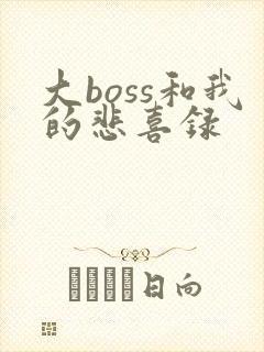 大boss和我的悲喜录