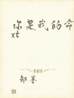 你是我的命运txt