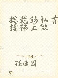 总裁的私有宝贝楼梯上做