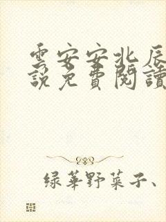 云安安北辰逸小说免费阅读