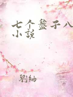 七个盘子八个碗小说
