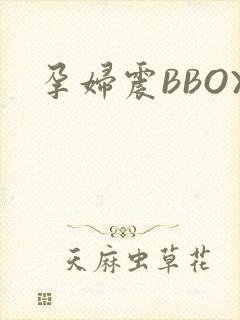 孕妇震BBOX