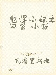 彪悍小妞之鱼水田家 小说