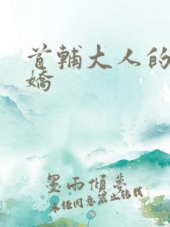 首辅大人的掌心娇