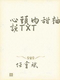 心头肉甜柚子小说TXT