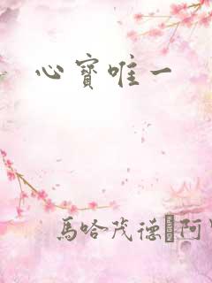 心宝唯一