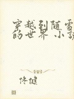 穿越到随处做 的世界 小说