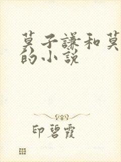 莫子谦和莫弯弯的小说