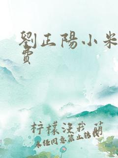 刘正阳小米多免费