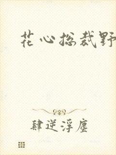 花心总裁野蛮妻