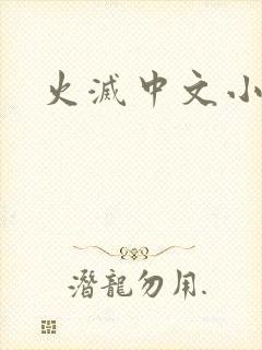 火灭中文小说