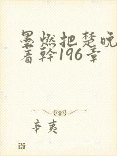 墨燃把楚晚宁按着干196章