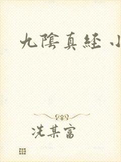 九阴真经 小说