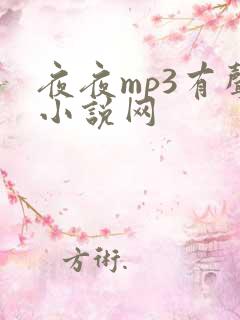夜夜mp3有声小说网