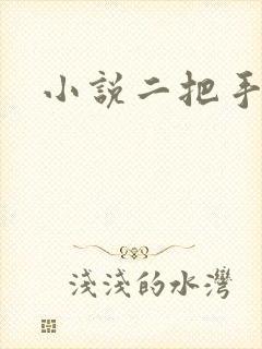 小说二把手