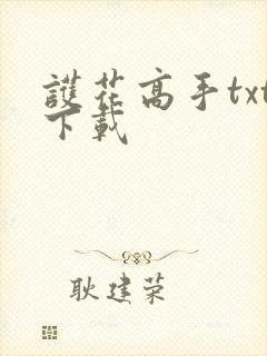 护花高手txt下载