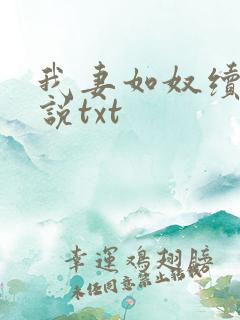 我妻如奴续写小说txt