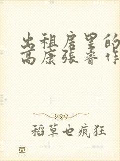 出租房里的交互高康张睿作者