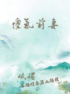 傻气前妻