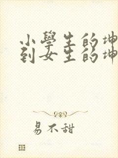 小学生的坤坤放到女生的坤里