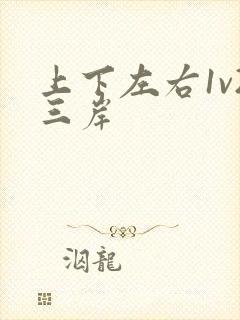 上下左右1v2三岸