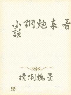 小钢炮来看我小说