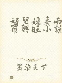 好儿媳秦雨罗明罗兴旺小说