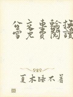 公交车轮换C程雪免费阅读