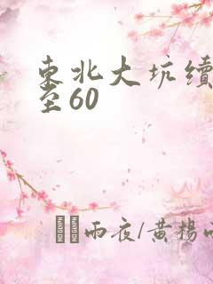 东北大坑续集1至60