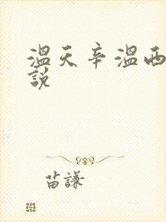 温天辛温西离小说