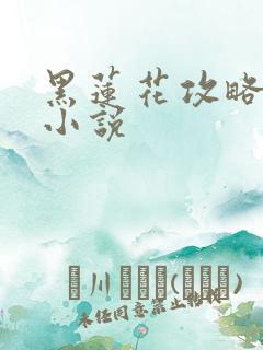 黑莲花攻略手册小说