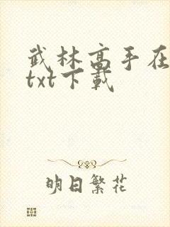 武林高手在校园txt下载