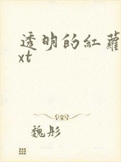 透明的红萝卜txt