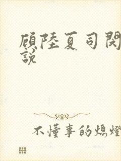 顾陆夏司闵郁小说