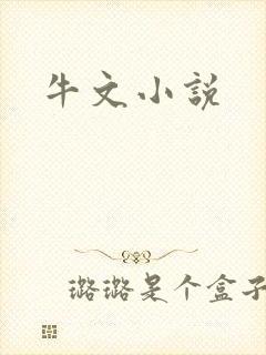 牛文小说
