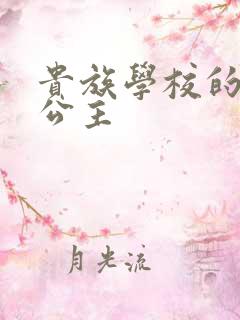 贵族学校的双面公主