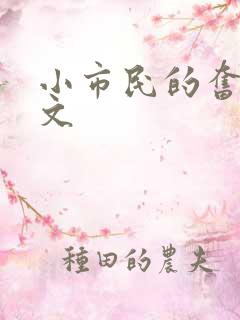 小市民的奋斗燃文