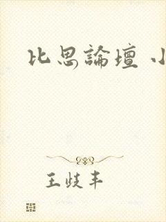 比思论坛 小说
