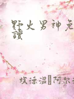野火男神免费阅读