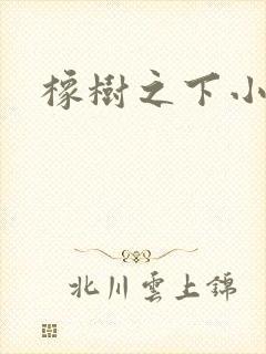 橡树之下小说