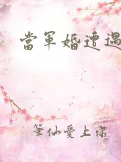 当军婚遭遇爱情