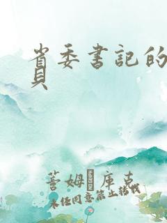 省委书记的小宝贝